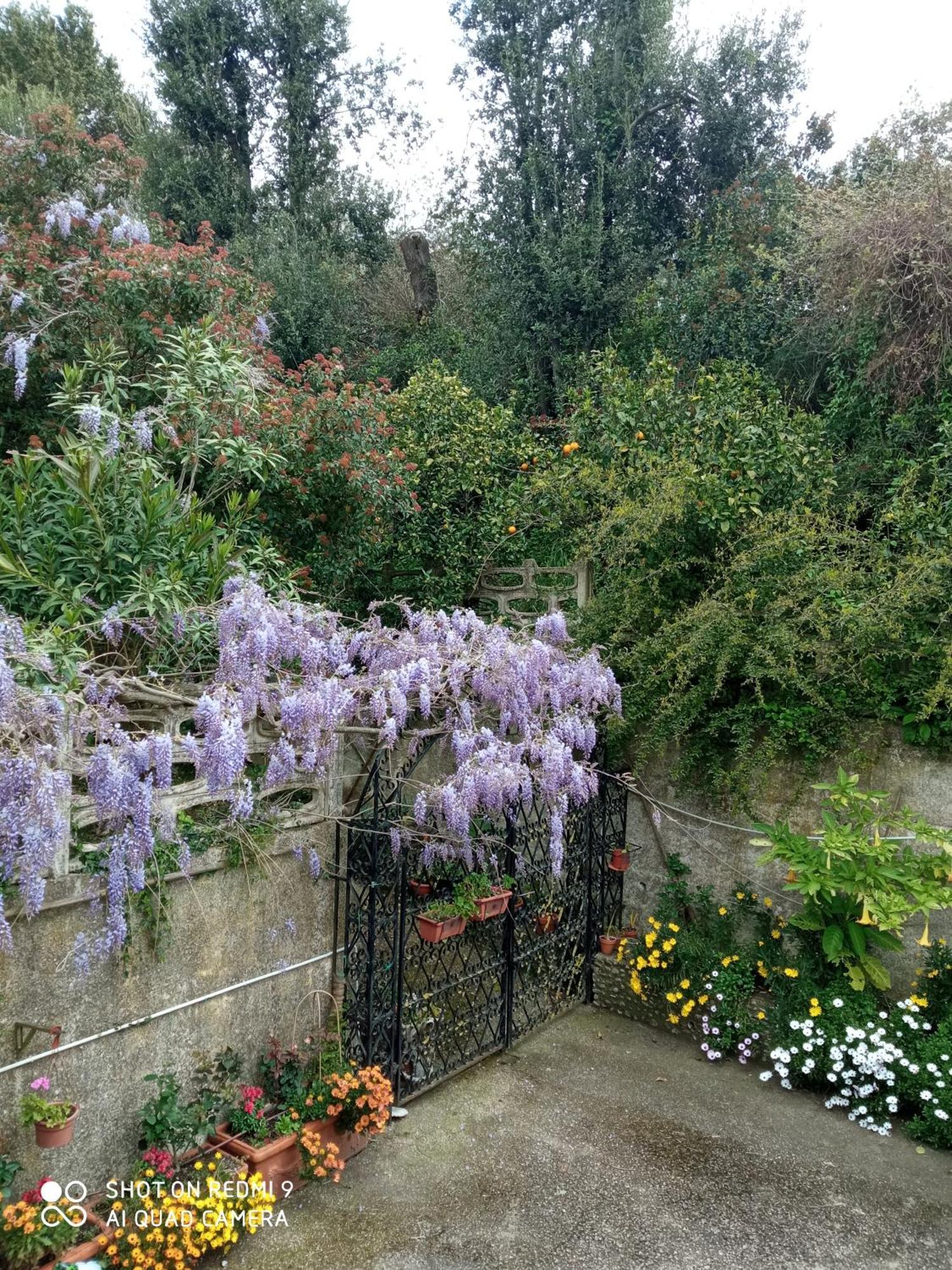 Belvedere Di Caiazzo Eksteriør billede