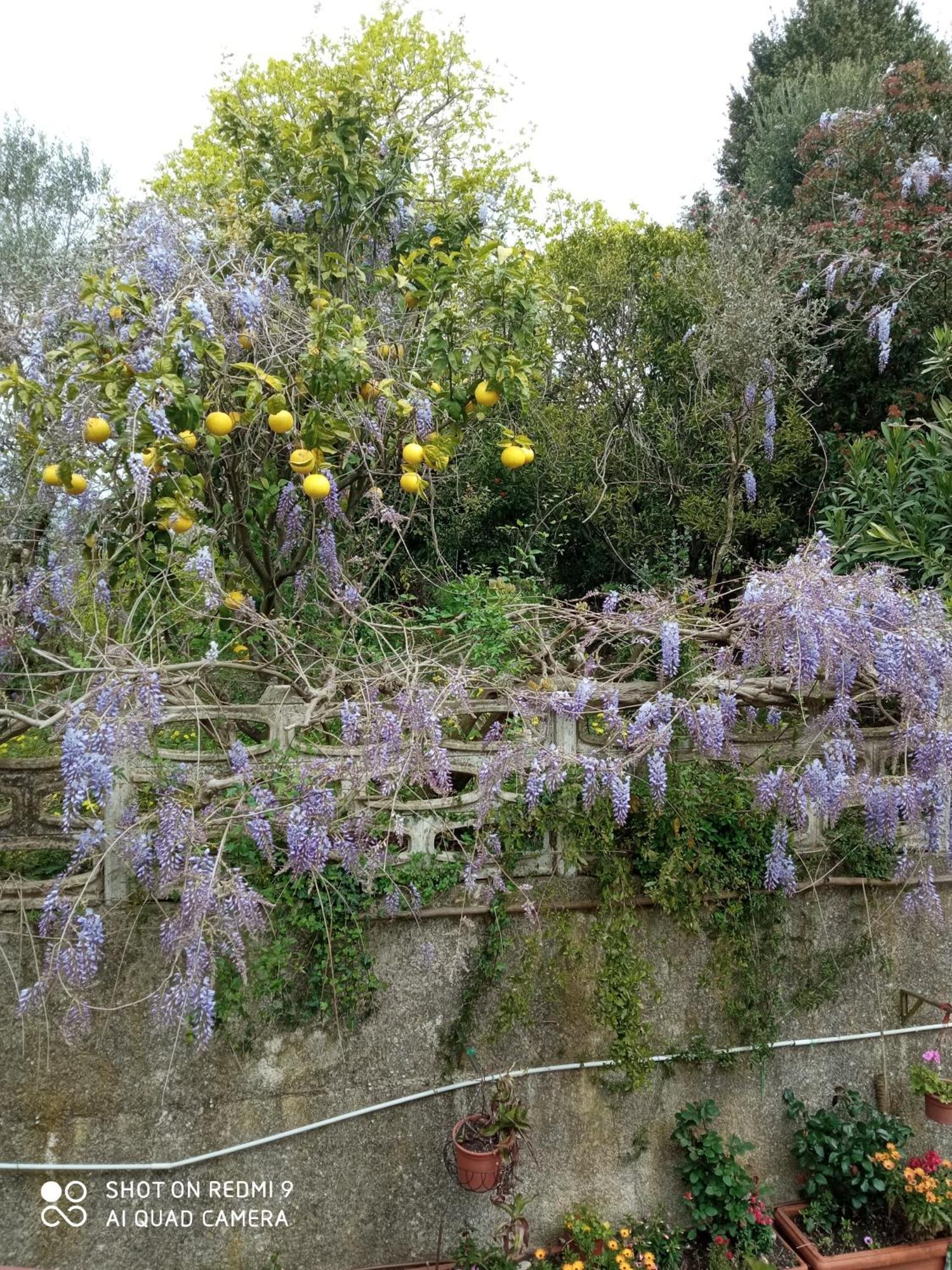 Belvedere Di Caiazzo Eksteriør billede